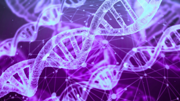 The Best At-Home Wellness & Health Testing Kits: Take Control of Your Health