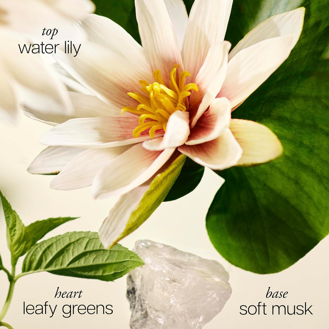 philosophy pure grace eau de toilette - crisp & clean women's perfume - with notes of water lily, leafy greens & musk - long lasting fragrance